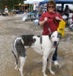 petfest2/032.JPG